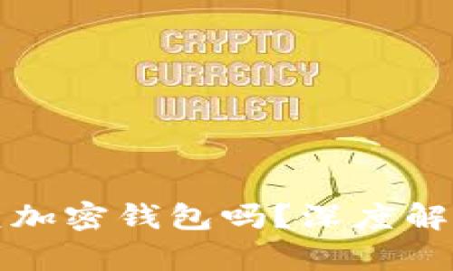 只要有助记词就能完全恢复加密钱包吗？深度解析助记词的重要性与安全性