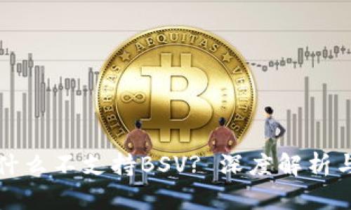 TP钱包为什么不支持BSV? 深度解析与用户指南