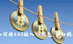 如何将EOS放入TP钱包：详细指南