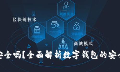 TP创建的钱包安全吗？全面解析数字钱包的安全性与保护措施
