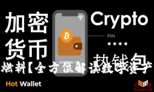 TP钱包使用什么燃料？全方位解读数字资产安全与交易体验
