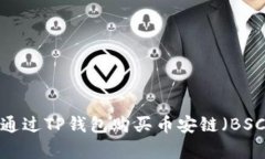 全面解析：如何通过TP钱包购买币安链