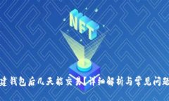 TP新建钱包后几天能交易？详细解析与