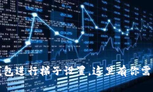 如何使用TP钱包进行梯子设置，这里有你需要知道的一切