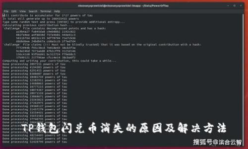 TP钱包闪兑币消失的原因及解决方法