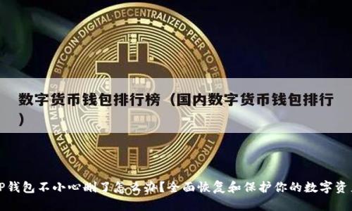 TP钱包不小心删了怎么办？全面恢复和保护你的数字资产