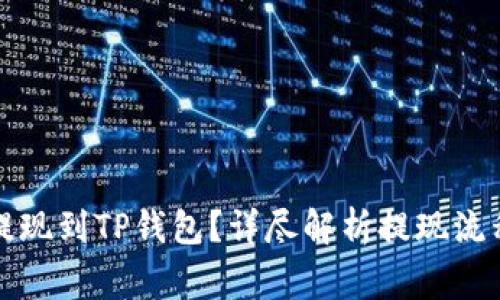 如何将资金提现到TP钱包?详尽解析提现流程与注意事项