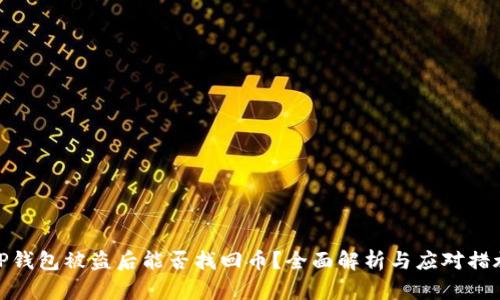 TP钱包被盗后能否找回币?全面解析与应对措施