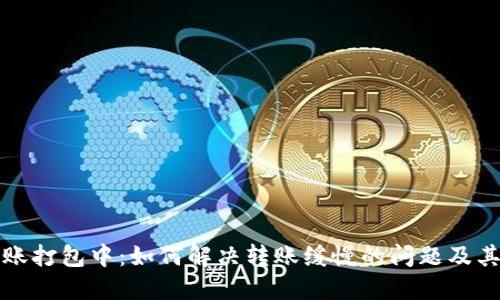 TP钱包转账打包中:如何解决转账缓慢的问题及其影响因素