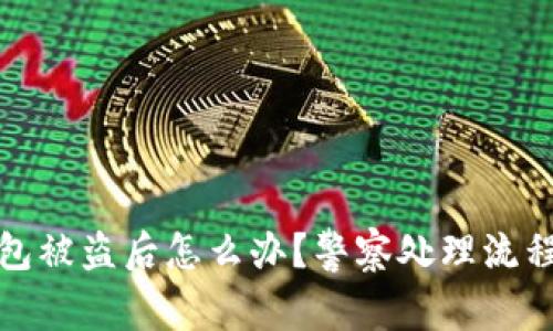 TP钱包被盗后怎么办?警察处理流程详解
