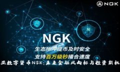 诺亚数字货币NSK：未来金融风向标与投资新机遇